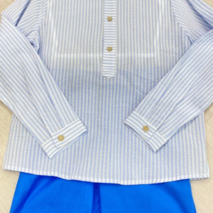 camisa de líneas y pantalón corto azul